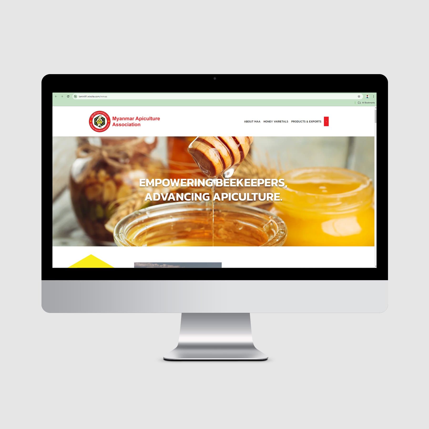 Myanmar Agro Association — website