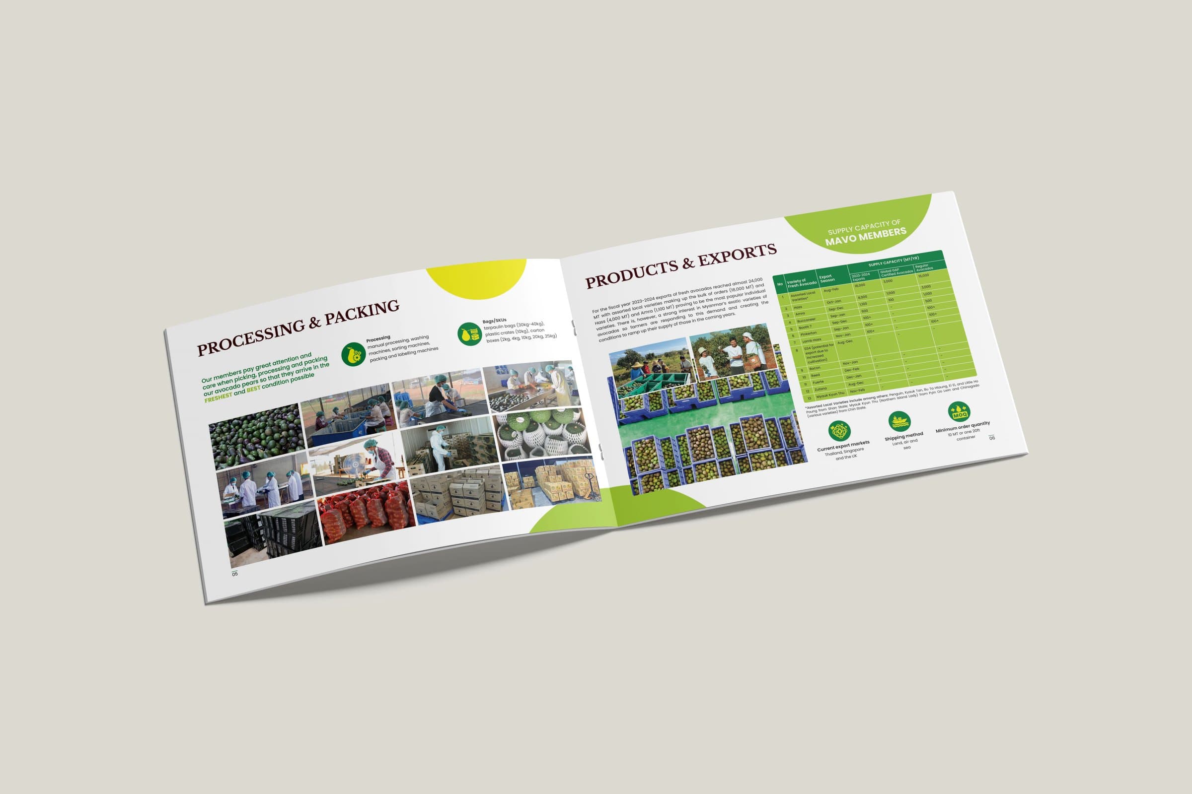 Association brochure — inside spread