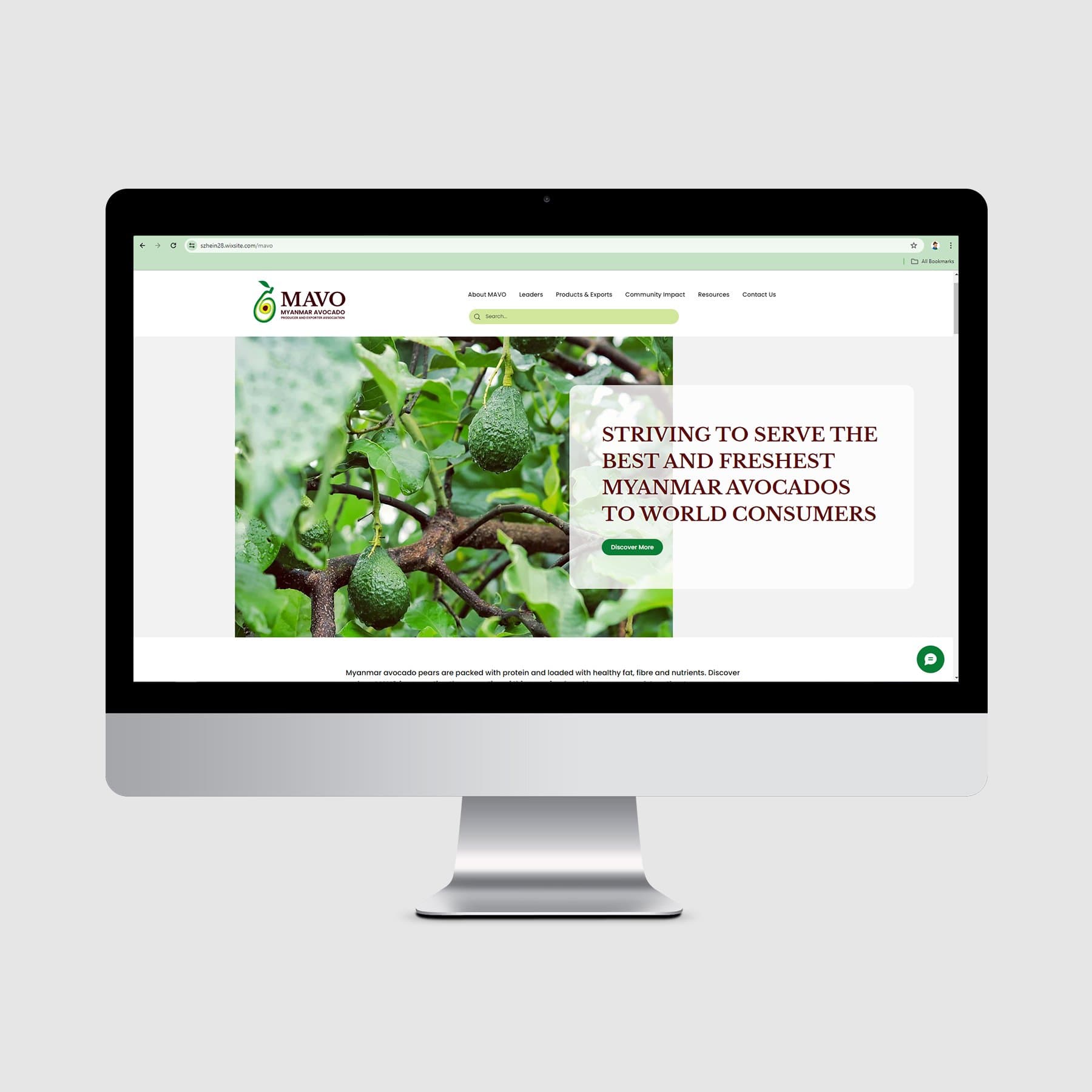 Myanmar Avocado Producers & Exporters Association — website