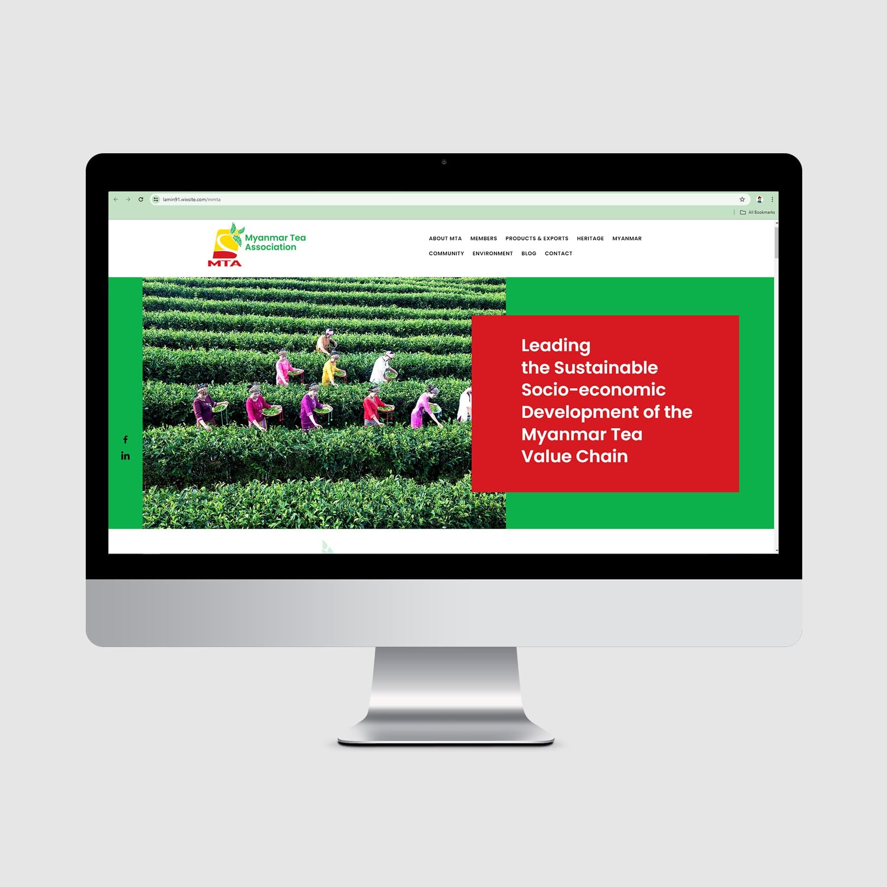 Myanmar Tea Association — website