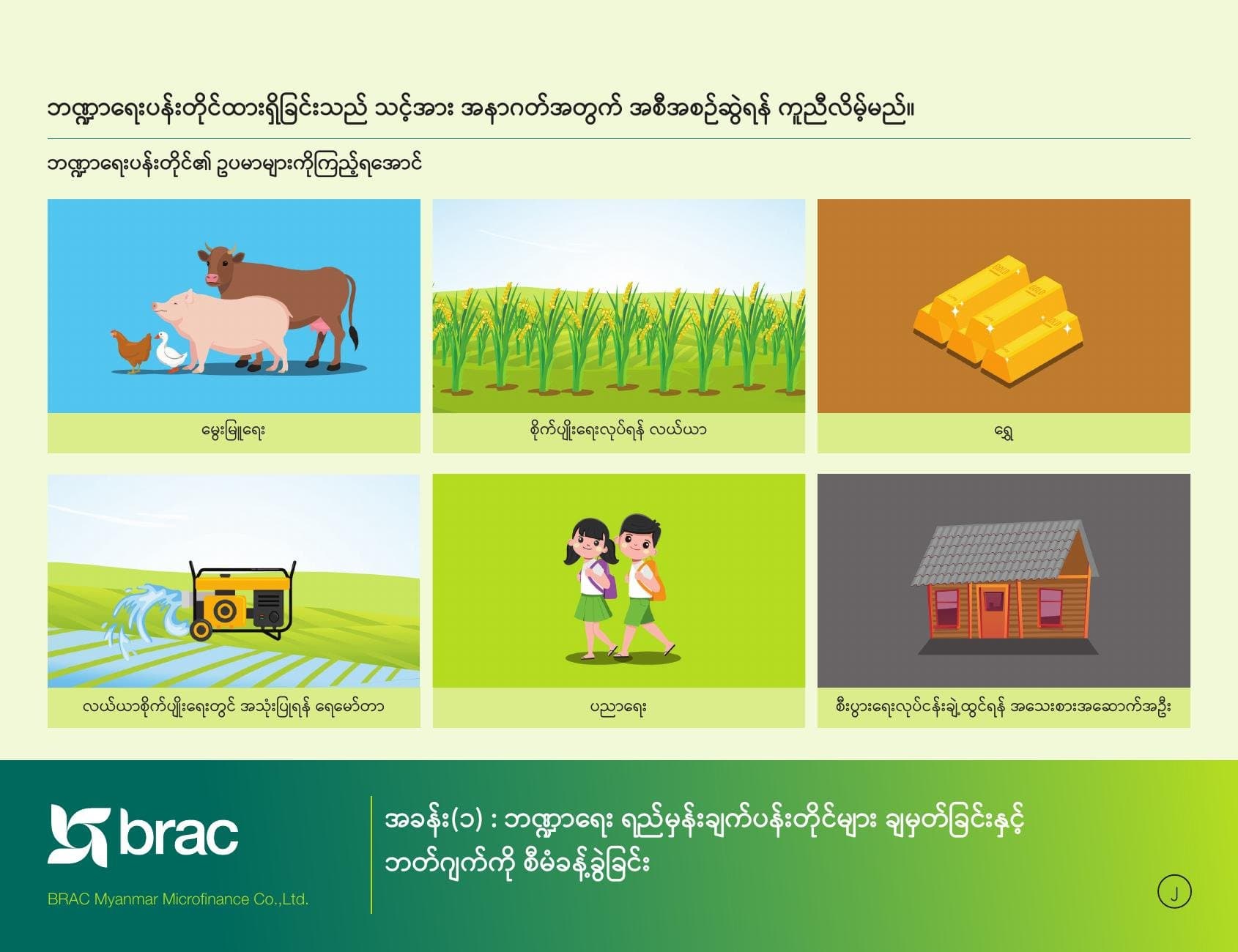 Productive assets illustrated — livestock, land and savings