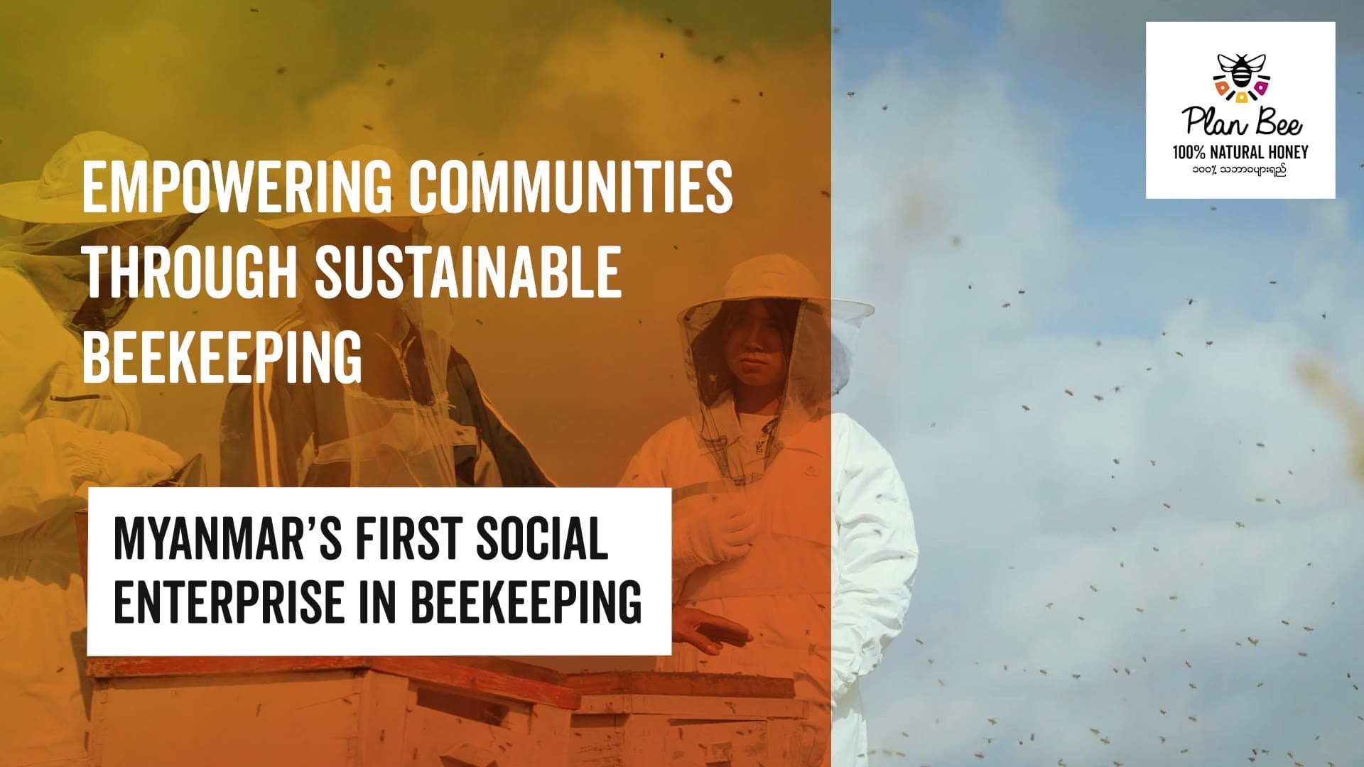 Myanmar's first social enterprise in beekeeping