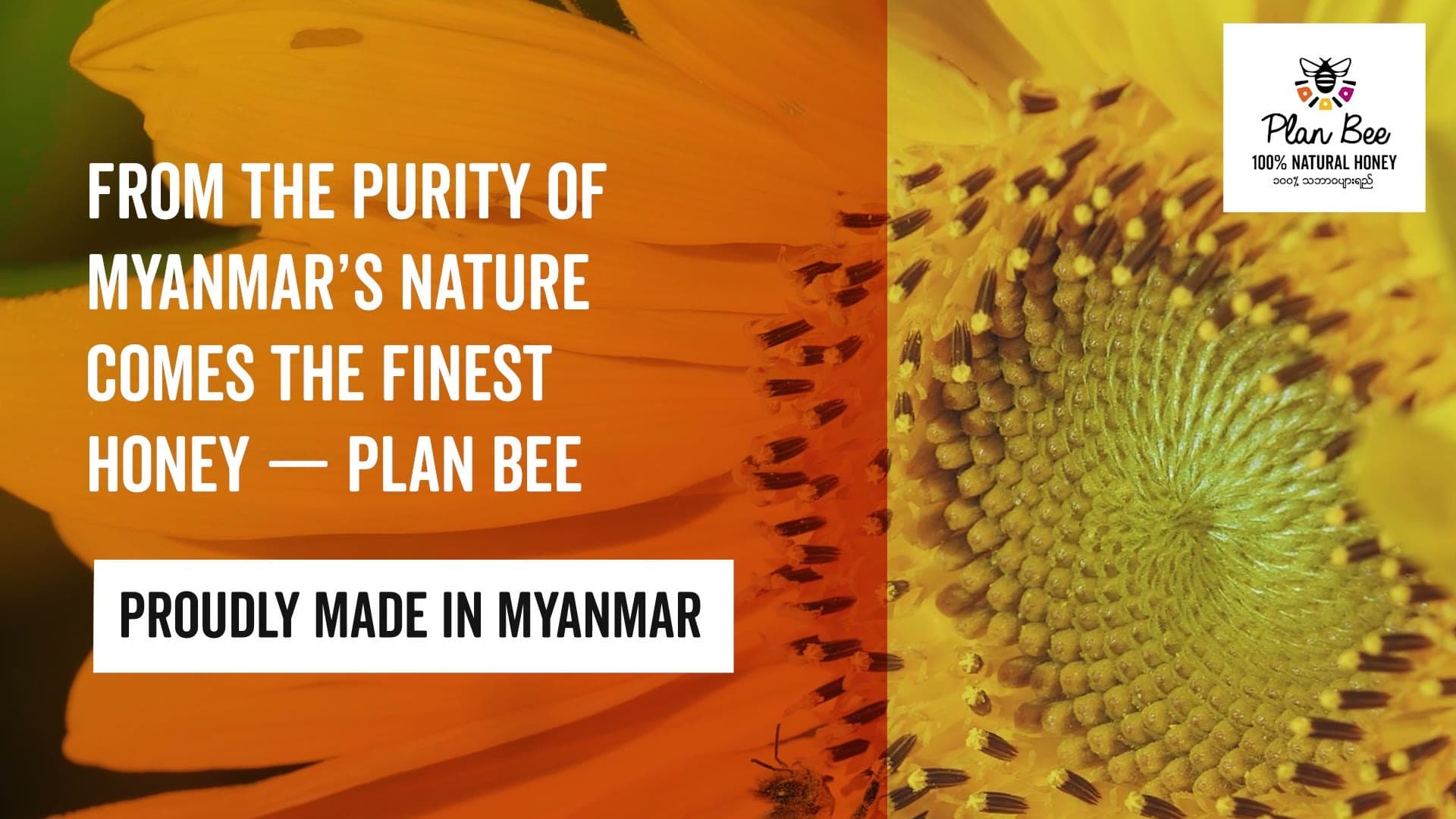 'From the purity of Myanmar's nature' — title frame