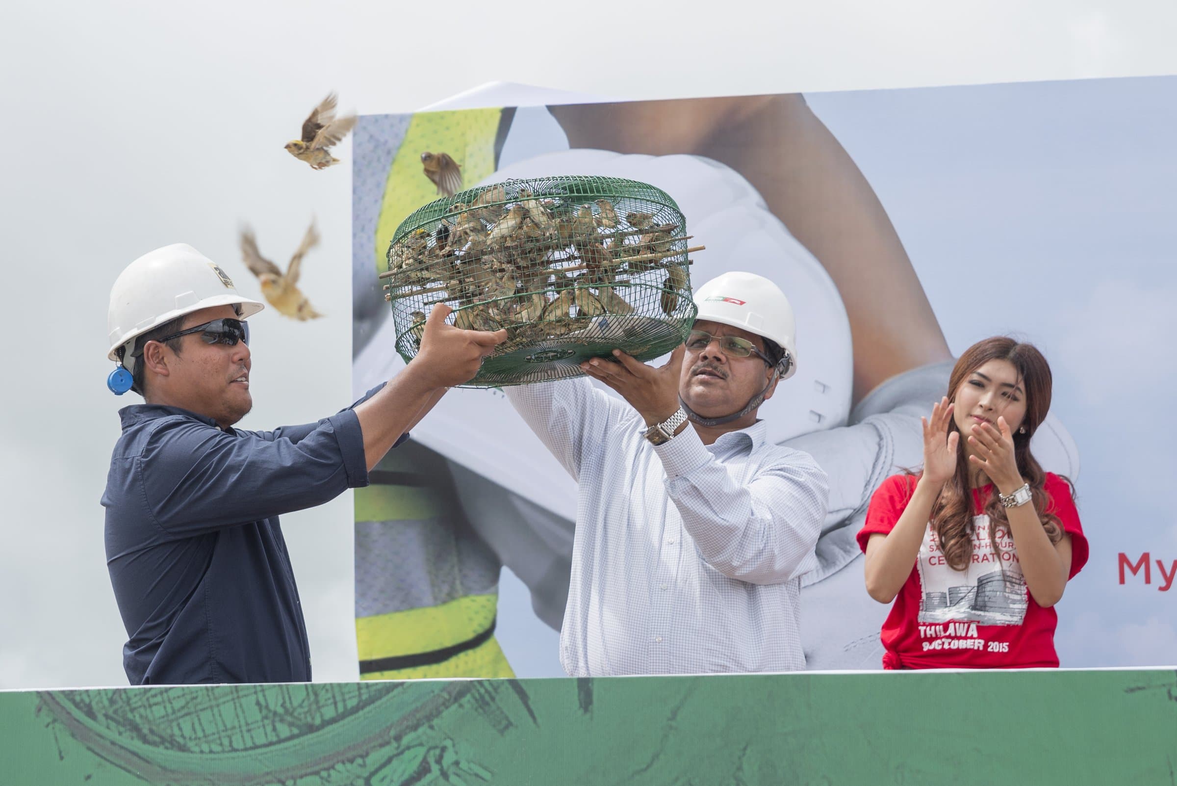 Releasing birds for the safety milestone