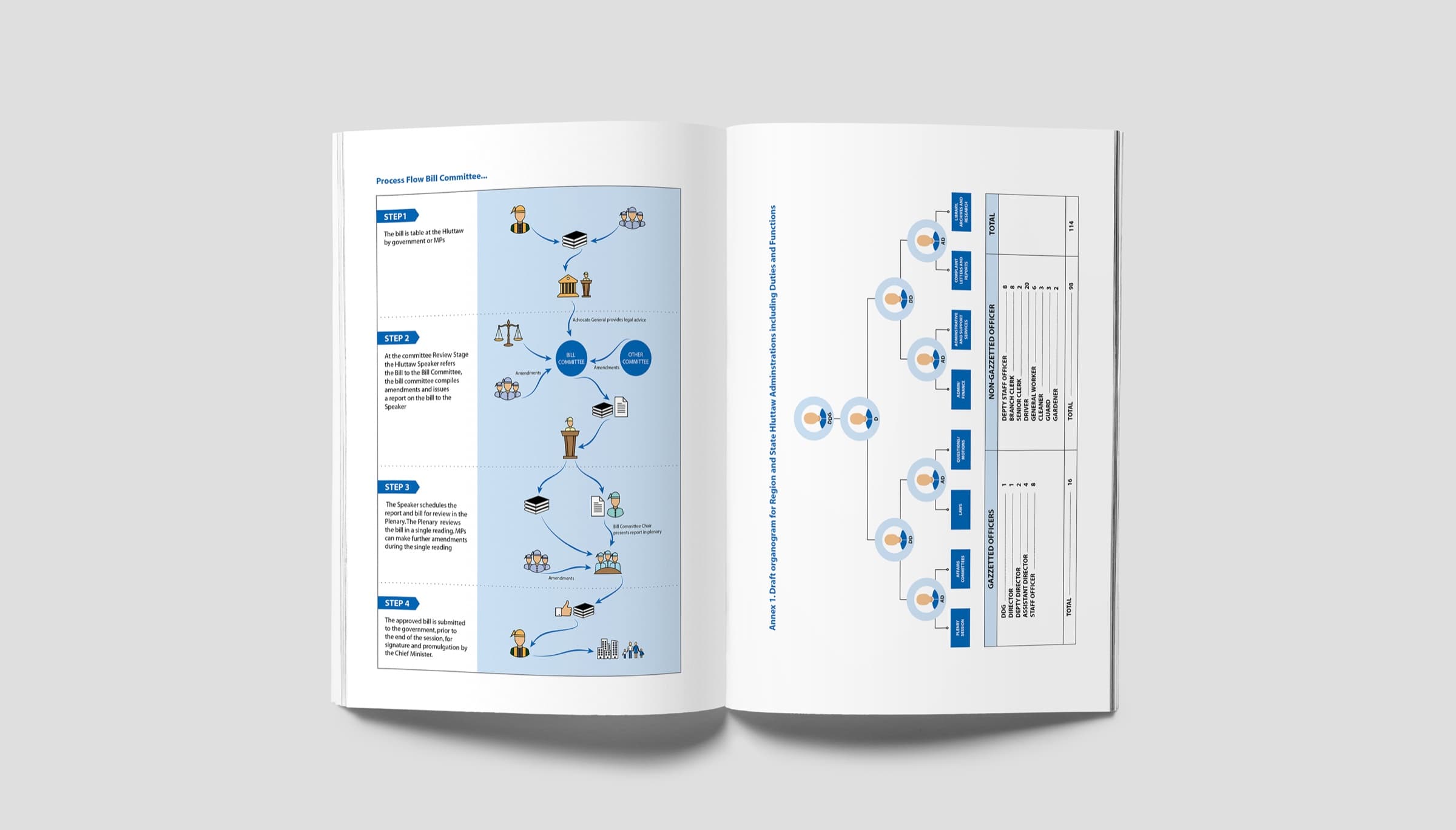 Bill committee process flow and organogram infographics