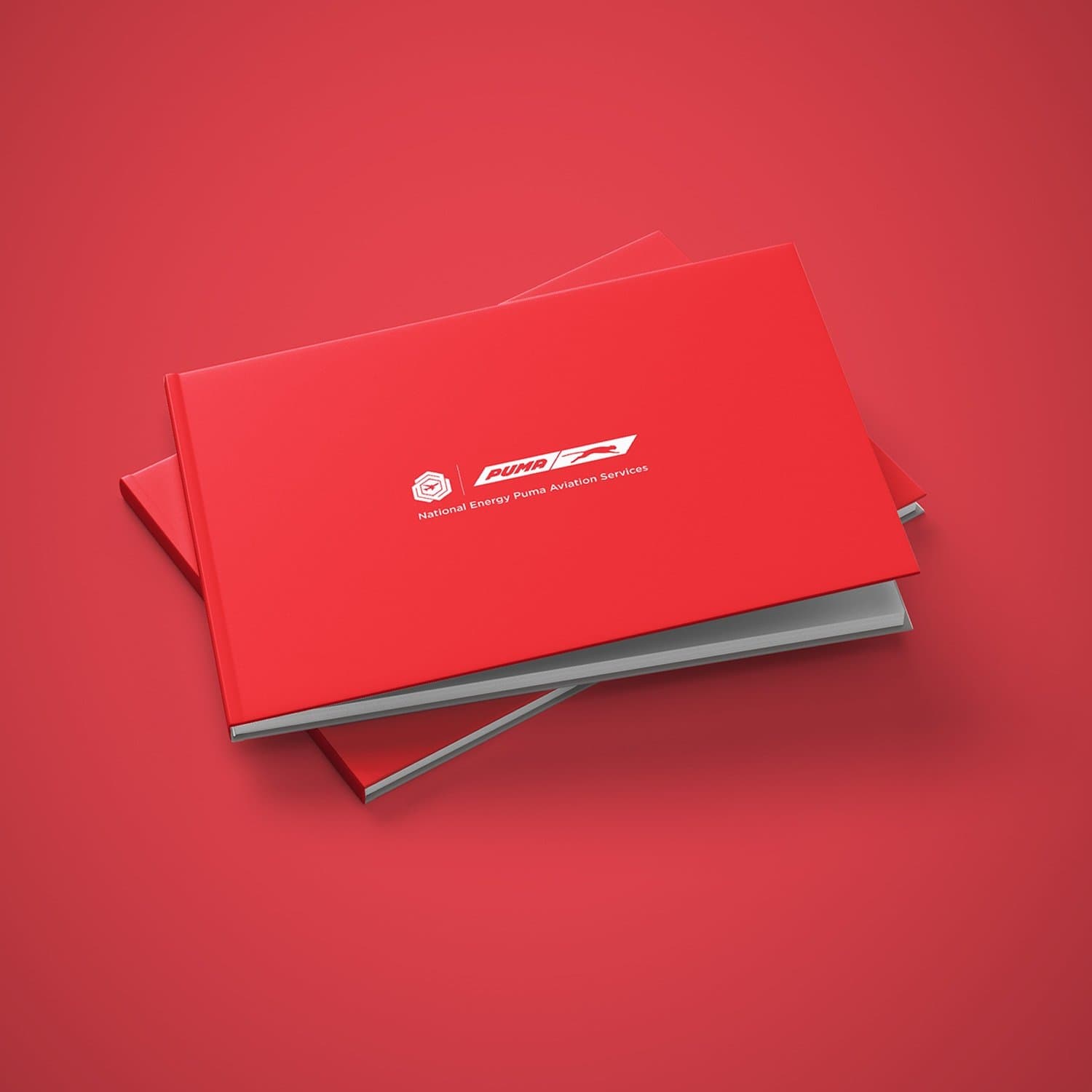 NEPAS — National Energy Puma Aviation Services
