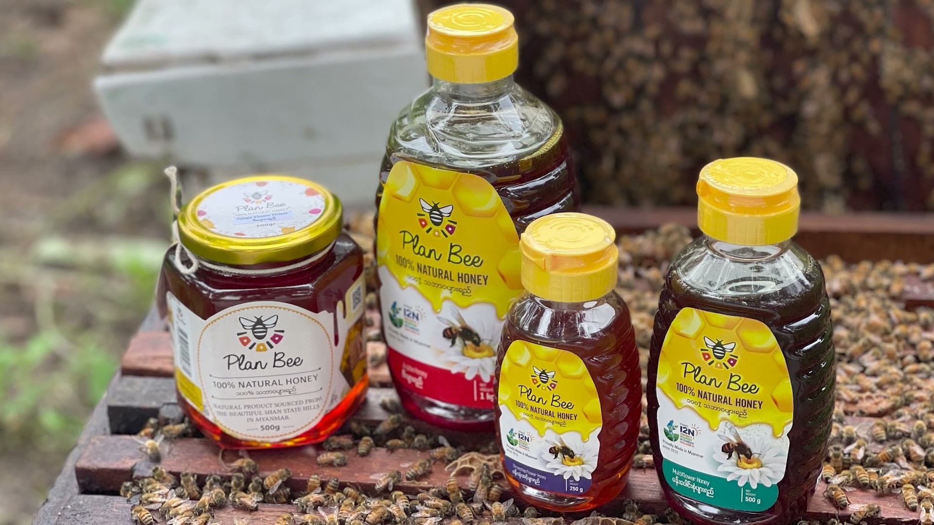 Plan Bee — Plan Bee · social enterprise